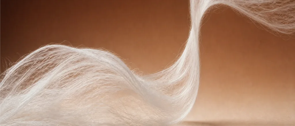 Cotton fiber strand