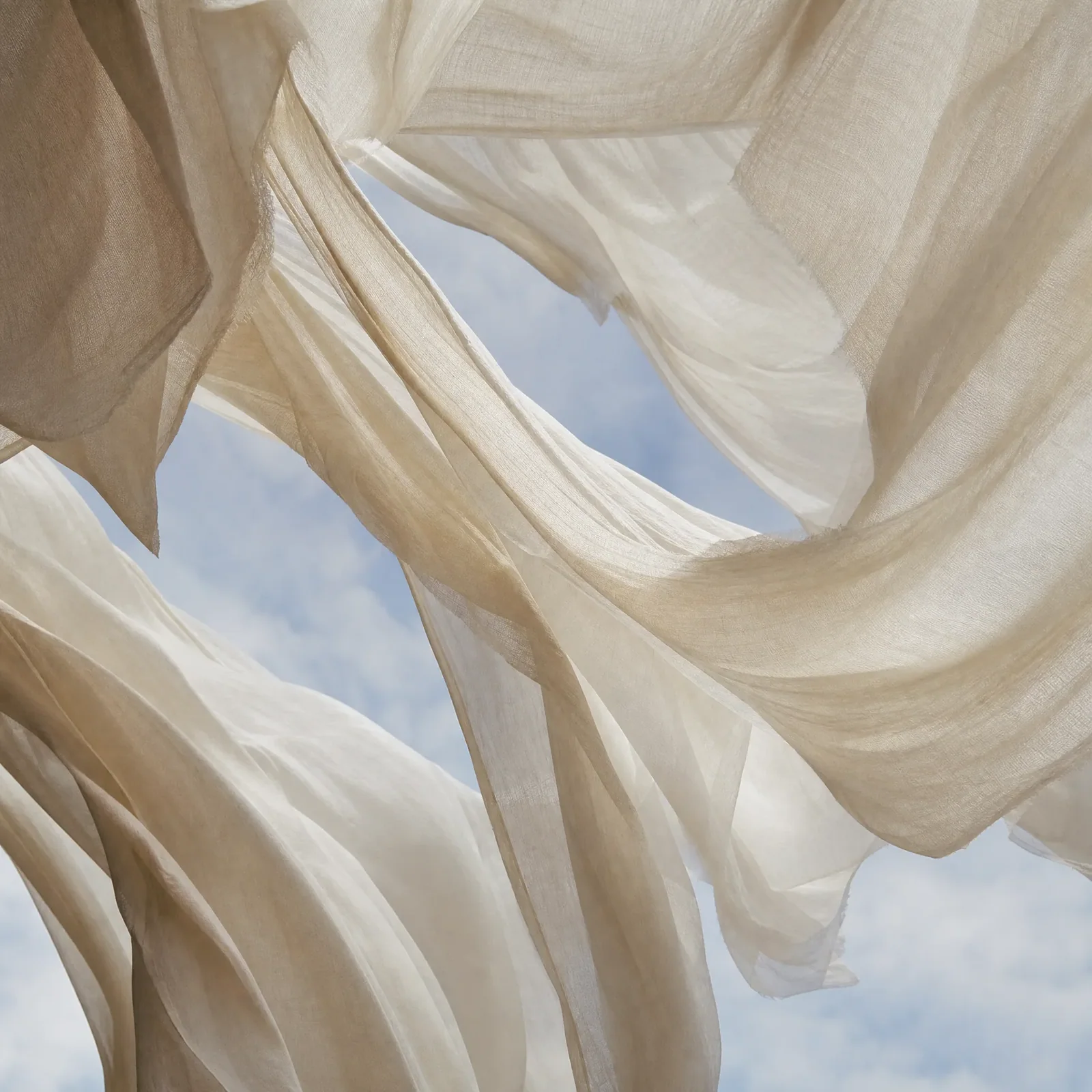 Organic cotton sheet fabric